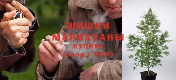 дурь Киреевск