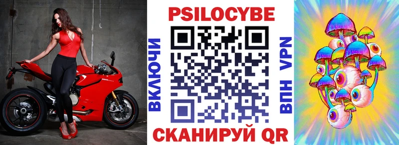 Галлюциногенные грибы Psilocybe  Красновишерск 